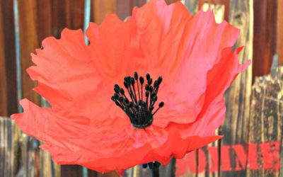 New exhibit – Mechanical Poppies