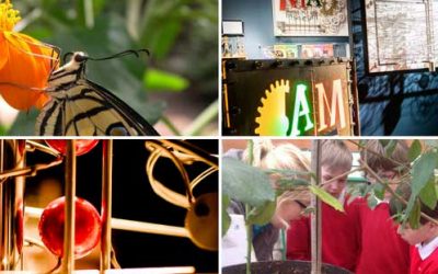 Visit both MAD & Stratford Butterfly Farm with your School