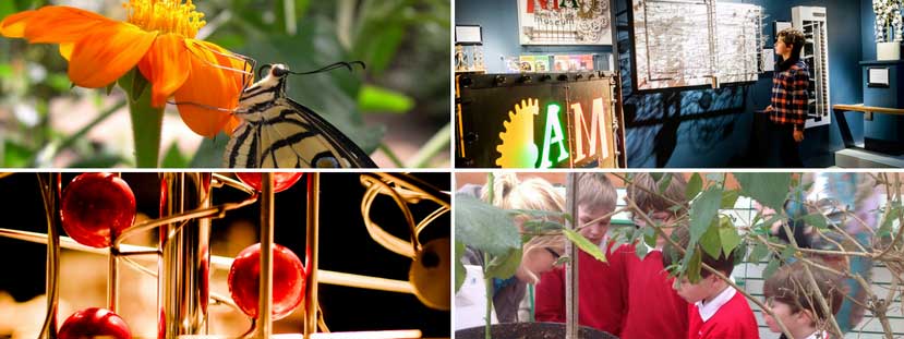 Visit both MAD & Stratford Butterfly Farm with your School